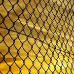 Scegliere una recinzione elettrica: i fattori da considerare